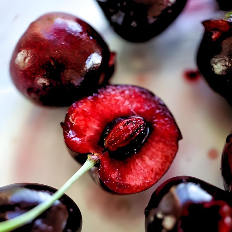 2 Live Black Cherry Tree for Planting 6–12 Inches Tall | Sweet Cherry Plant Live for Outdoor Garden Planting, Backyard Use & Landscape Design