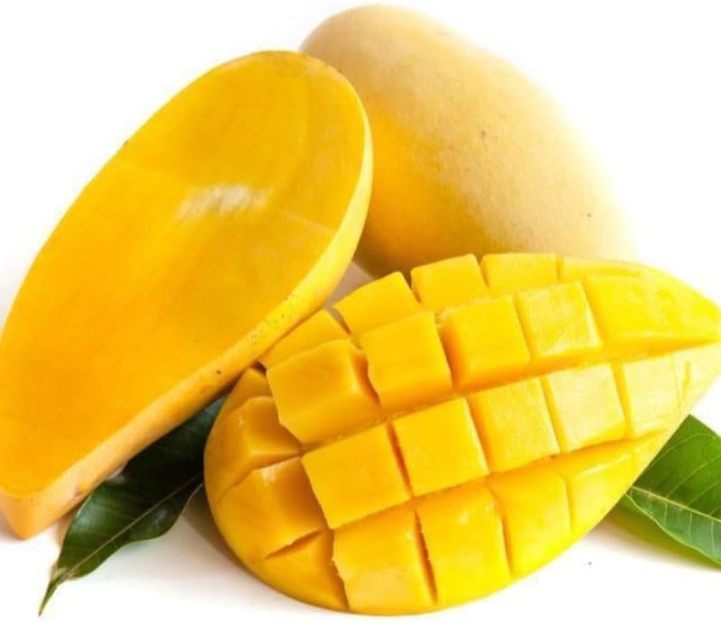 Grafted NAM Doc Mai Mango Tree Live Plant | 2.5–3 Ft Tropical Fruit Tree for Planting | Sweet, Low-Fiber Mango Variety for Home Gardens | No Ship to CA,HI,AK