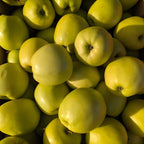 (No Ship to CA,HI,AK) Golden Delicious Apple Tree, Malus Domestica Starter, 5 Gal Pot, Cold-Hardy Edible Yellow Apple Tree for Large Pots and Home Gardens