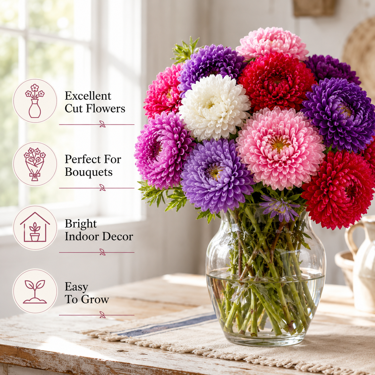 100 Crego Mix Aster Seeds, Non-GMO Callistephus chinensis Seeds, Heirloom, Vibrant Multi-Color Fluffy Feathered Blooms for Cut Flower Garden