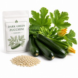 25 Dark Green Zucchini Seeds, Non GMO, Heirloom, High-Yield Summer Squash Seeds, for Pots, Containers & Gardens