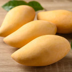 Grafted NAM Doc Mai Mango Tree Live Plant | 2.5–3 Ft Tropical Fruit Tree for Planting | Sweet, Low-Fiber Mango Variety for Home Gardens | No Ship to CA,HI,AK