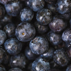 (No Ship to CA,HI,AK) Sweet Austin Blue Berry Live for Planting - 1 to 2 Feet Live Blueberries Plants in 2 Gallon Pot, Perfect for Yard Landscape and Containers