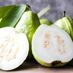 (No Ship to CA,HI,AK) Guava Tree Live Plant - Thai White Guava, 2-3 Feet Size, 3 Gallon Pot, Well-Rooted Tropical Tree, Low Maintenance Fruit Trees for Outdoor Planting
