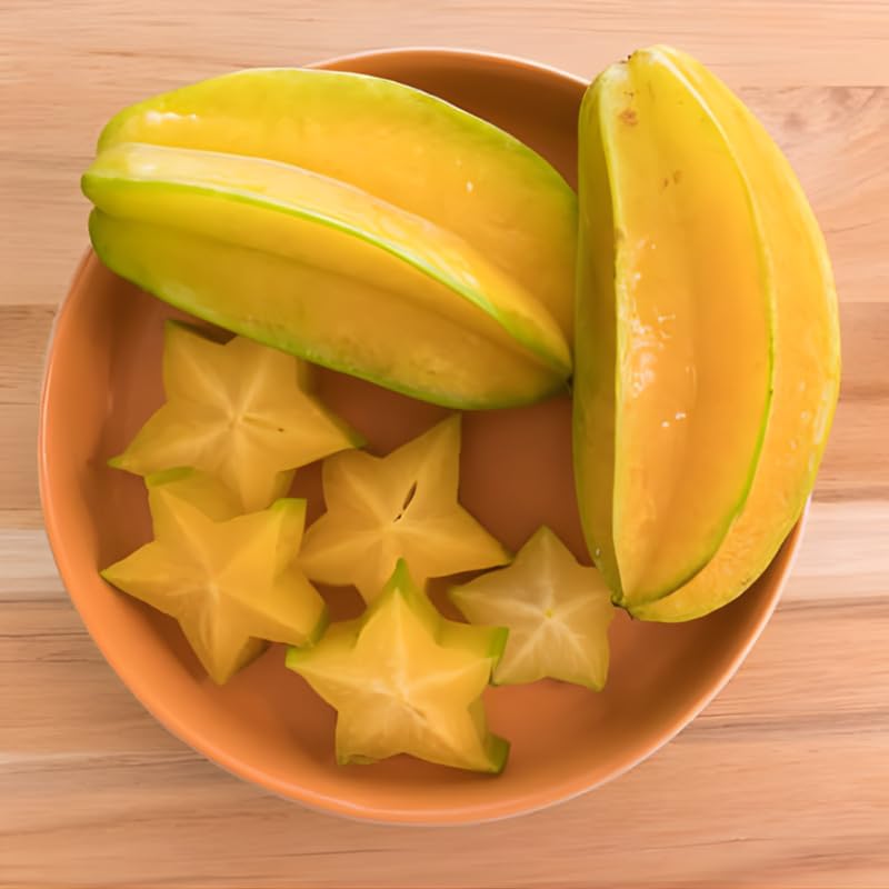 (No Ship to CA,HI,AK) Sweet Starfruit Tree in 3 Gallon Pot, Easy Care Tropical Greenery, Fruit Tree for Home Landscapes