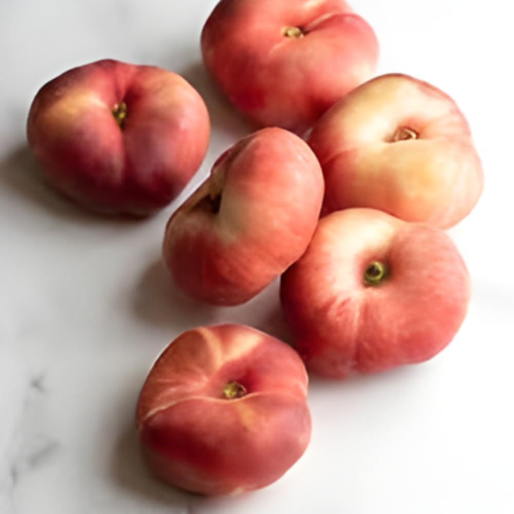 Donut Peach Fruit Tree | Large Live Seedling Plant 30-36 Inches in 3 Gallon Pot | Hardy Sweet Flat Peach Fruit Tree, Ready to Bear Fruits | No Ship to CA,HI,AK