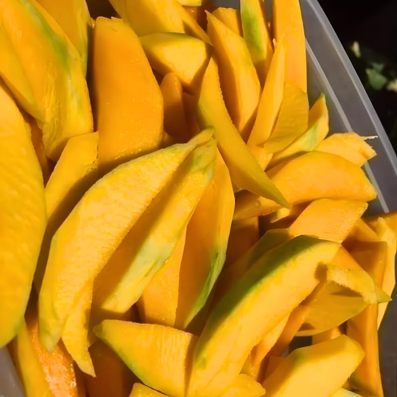 Mun Kun Si Mango Tree Live Plant | Sweet Tropical Mango Variety 2.5–3 Ft | Fruit-Bearing Tree for Yard & Patio | No Ship to CA, HI, AK