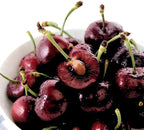 2 Black Cherry Trees Live Plants 2–3 Ft Tall | Sweet Cherry Fruit Tree for Home Garden, Yard Growing & Outdoor Landscape