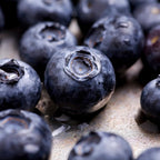 (No Ship to CA,HI,AK) Brightwell Blueberry Trees Live Plants, 1-2 Feet Tall (1 Gal Pot) - Sweet Blue Berries Live Plants for Planting Indoor Outdoor