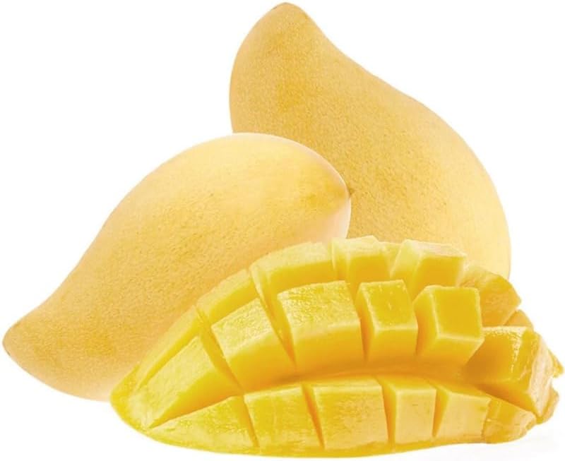 Grafted NAM Doc Mai Mango Tree Live Plant | 2.5–3 Ft Tropical Fruit Tree for Planting | Sweet, Low-Fiber Mango Variety for Home Gardens | No Ship to CA,HI,AK