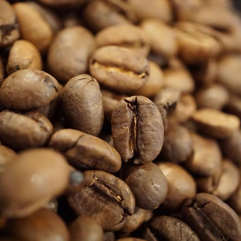(No Ship to CA,HI,AK) Arabica Coffee Plant Live, 1 Gallon Pot, 1-2 Feet Tall Live Indoor Tree with Shiny Green Foliage, Self-Pollinating Arabica for Fresh Homegrown Beans