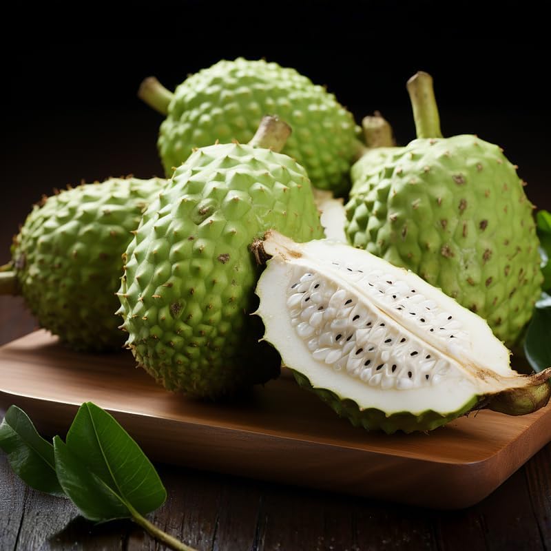 No Ship to CA, HI, AK, Soursop Live Plant, 24-30" Tall in 1 Gallon Pot, Exotic Guanabana Fruit Tree for Tropical Gardens and Patios