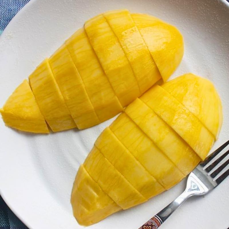 Mallika Mango Trees Live Plants |Sweet Fruit Tree 2.5–3 Ft Tall | Compact Tropical Mango Variety with Rich, Aromatic Fruit | Ideal for Yard, Patio & Warm-Climate Gardens | No Ship CA, HI, AK