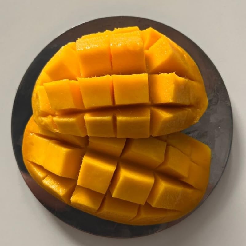 Keo Savoy Mango Trees Live Plants | 2.5–3 Ft Tropical Mango Variety | Sweet, Juicy Mango Fruit Tree for Yard & Patio | No Ship to CA, HI, AK