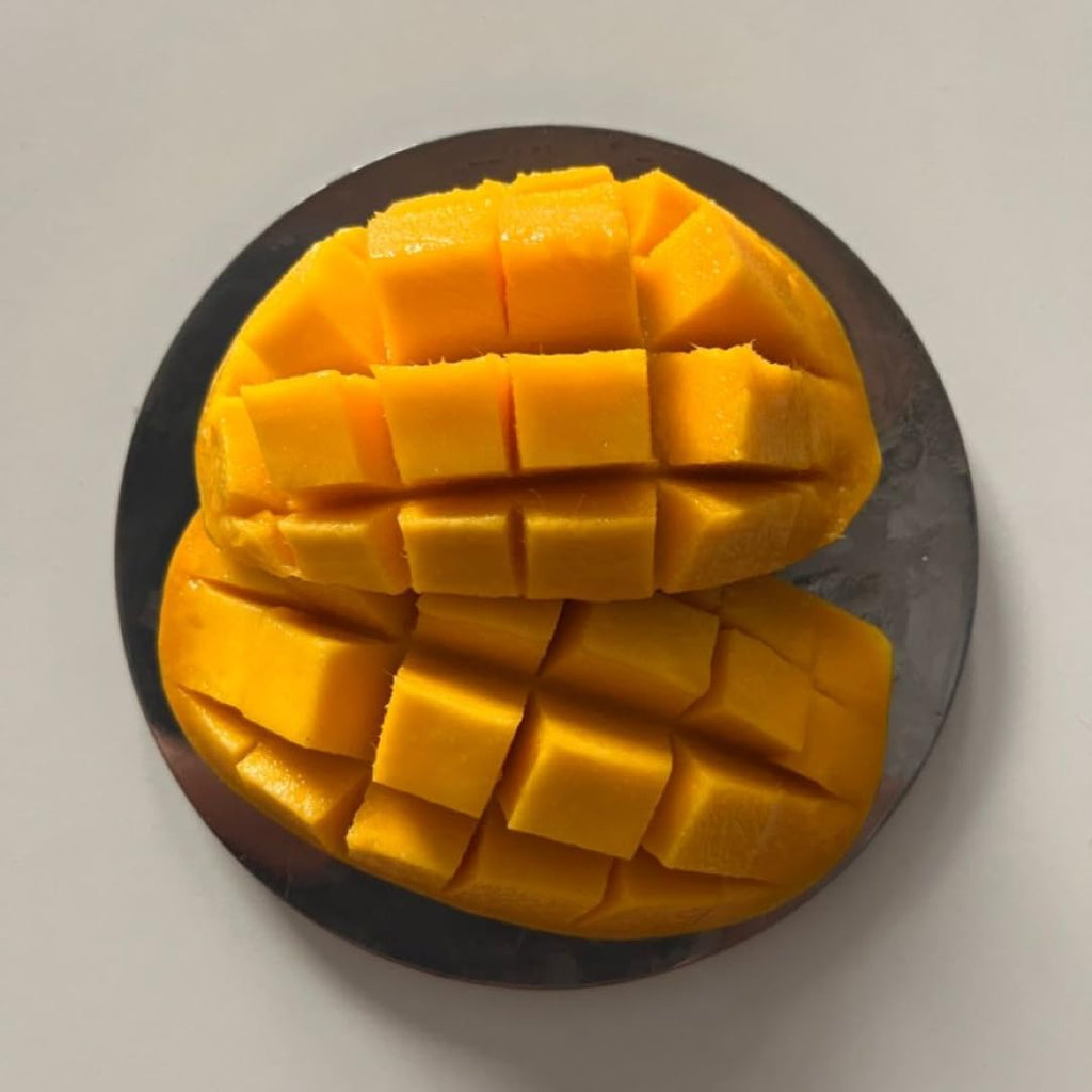 Grafted Valencia Pride Yellow Mango Plant 2.5–3 Ft | Live Mango Fruit Tree | Fast-Growing Tropical Variety for Outdoor Growing & Container Gardening | No Ship to CA,HI,AK