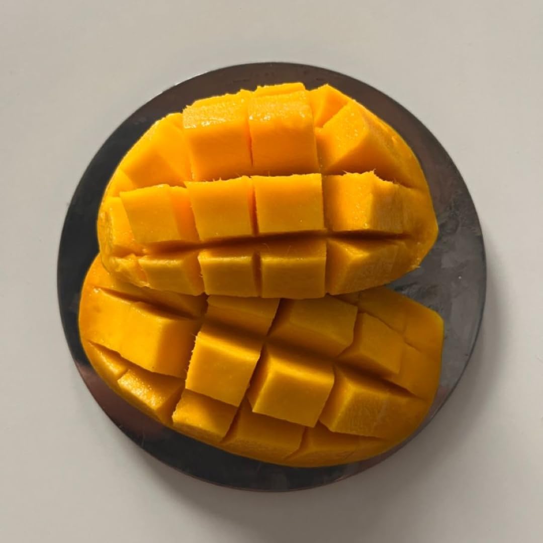 Grafted Valencia Pride Yellow Mango Plant 2.5–3 Ft | Live Mango Fruit Tree | Fast-Growing Tropical Variety for Outdoor Growing & Container Gardening | No Ship to CA,HI,AK