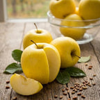 (No Ship to CA,HI,AK) Golden Delicious Apple Tree, Malus Domestica Starter, 5 Gal Pot, Cold-Hardy Edible Yellow Apple Tree for Large Pots and Home Gardens