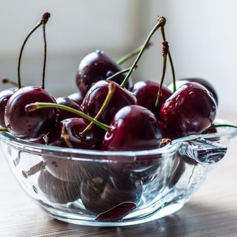 2 Black Cherry Trees Live Plants 2–3 Ft Tall | Sweet Cherry Fruit Tree for Home Garden, Yard Growing & Outdoor Landscape