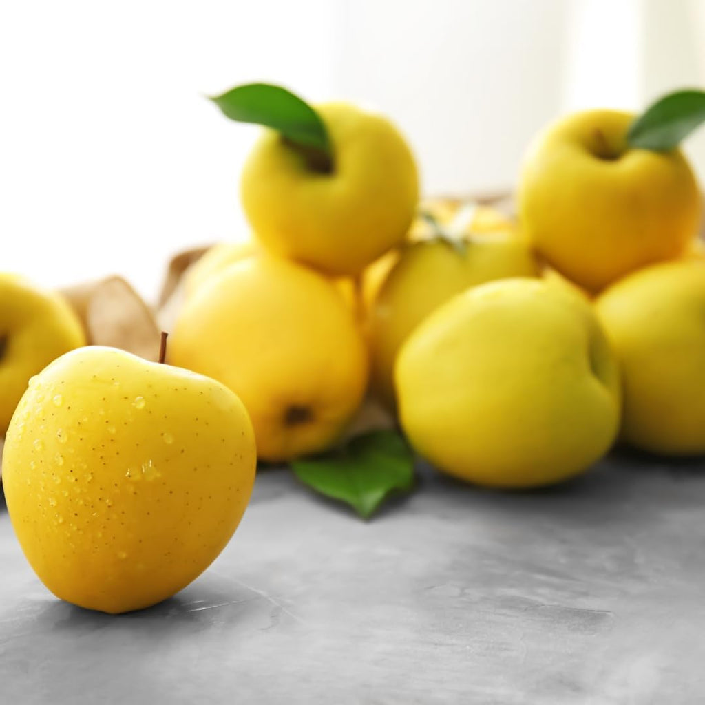 (No Ship to CA, HI, AK) Live Golden Delicious Apple Tree Plant in 3 Gallon Pot, Apple Trees Live Plants Ready to Fruit, Live Fruit Trees for Outdoor Planting