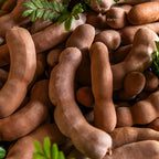 No Ship to CA, HI, AK, Sour Tamarind Fruit Tree, 2-3 Feet Size, 3 Gallon Pot, Well-Rooted Tropical Tree, Low Maintenance Fruit Plant for Sunny Outdoor Spots