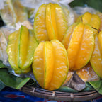(No Ship to CA,HI,AK) Sweet Starfruit Tree Live Plant in 3 Gallon Pot, Well-Rooted Tropical Tree, Low Maintenance Fruit Plant for Sunny Outdoor Spots