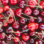 (No Ship to CA,HI,AK) Cherry Tree – Stella Cherry, 2-3 Ft Tall in 3 Gal Container, Cold-Hardy Edible Fruit Tree for Large Pots and Landscapes