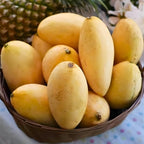 Live Keo Savoy Mango Tree 2.5–3 Ft | Sweet Tropical Mango | Fruit Tree for Yard & Patio | No Ship to CA, HI, AK