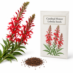 750 Cardinal Flower Seeds for Planting Outdoors, Non-GMO Lobelia cardinalis Seeds, Heirloom, Easy Care, High Yield, Perennial Wildflower Seeds
