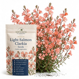 50 Pcs Salmon Clarkia Seeds, Heirloom Non-GMO Annual Flowers, Low Maintenance Ruffled Blooms for Cut Floral Bouquets
