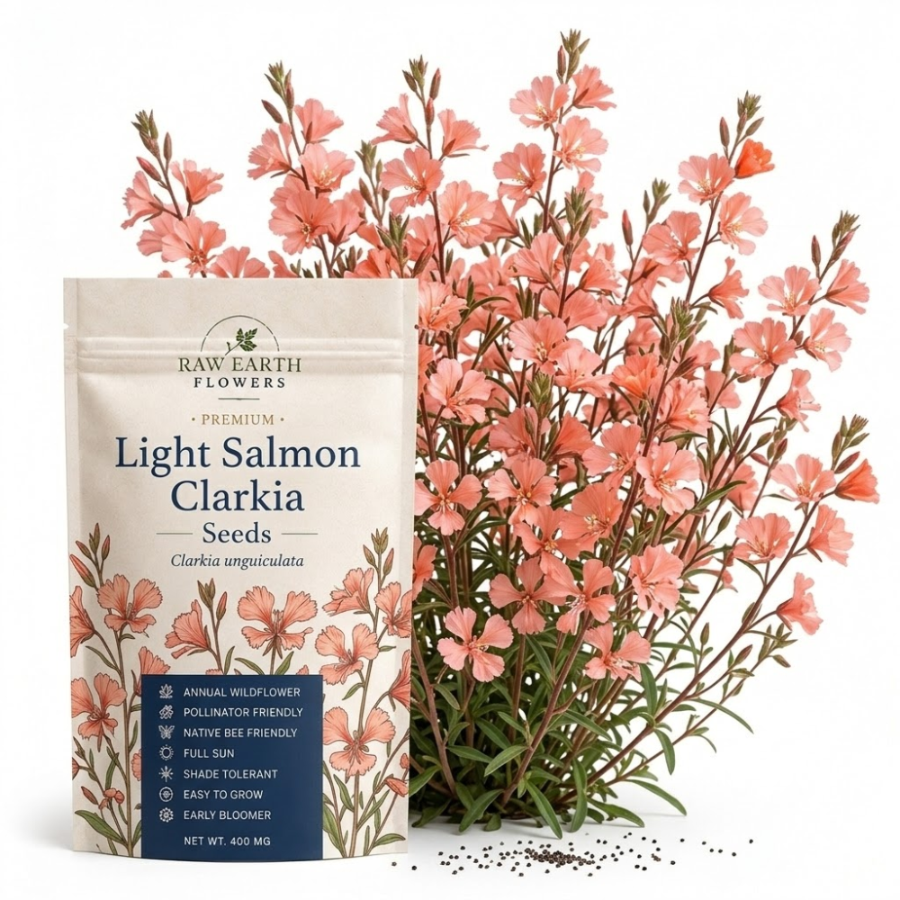 50 Pcs Salmon Clarkia Seeds, Heirloom Non-GMO Annual Flowers, Low Maintenance Ruffled Blooms for Cut Floral Bouquets