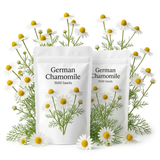 2 Packs German Chamomile Seeds (7000 Seeds), High Germination Herb Seeds for Planting,  Low Maintenance Aromatic Flowers for Sunlit Yard Borders