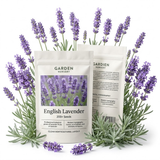 2 Pack English Lavender Seeds for Planting Outdoor (400 Seeds), High Germination Herb Seeds, Robust Low Maintenance Aromatic Flowers for Garden Borders