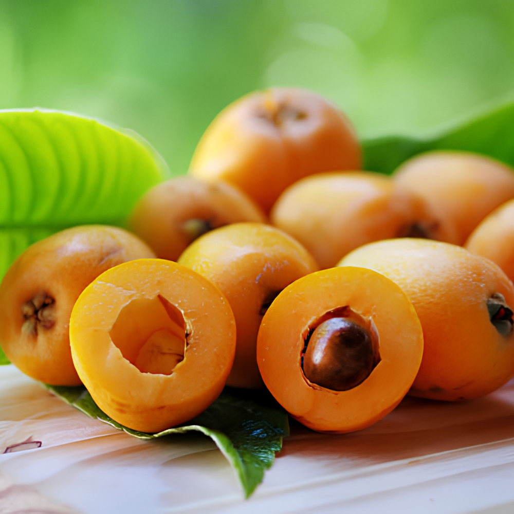 (No Ship to CA,HI,AK) Loquat Tree, Sturdy 3 Gallon Potted Edible Fruit Tree Starter, High-Vigor Evergreen Plant for Home Landscapes, Resilient Subtropical Shade Tree for Backyard Orchards