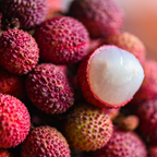 (No Ship to CA,HI,AK) Mauritius Lychee Trees Live Plants | 2.5–3 Ft Live Potted Plant | Compact Sweet Fruit Tree for Patios, Balconies & Backyard Gardens