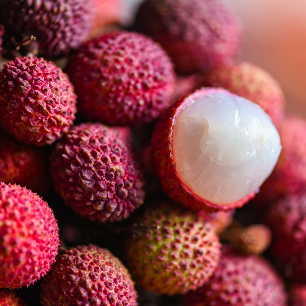 (No Ship to CA,HI,AK) Mauritius Lychee Trees Live Plants | 2.5–3 Ft Live Potted Plant | Compact Sweet Fruit Tree for Patios, Balconies & Backyard Gardens