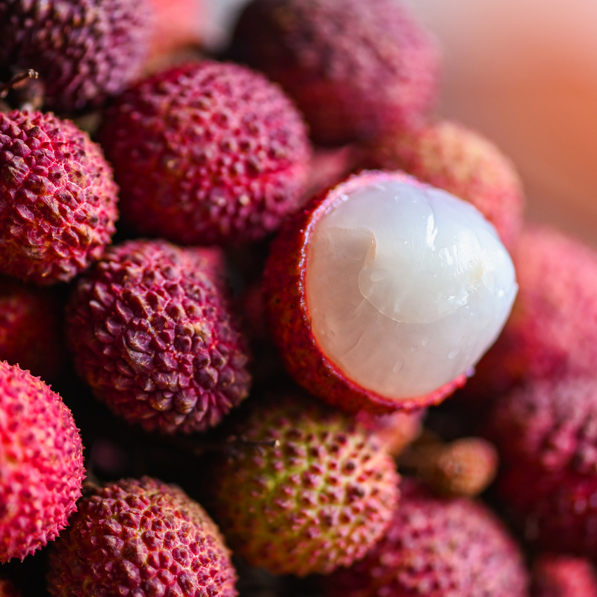 (No Ship to CA,HI,AK) Mauritius Lychee Tree for Planting | 2.5–3 Ft Live Potted Tropical Fruit Tree | Sweet Juicy Lychee Fruit for Home Gardens, Patios & Containers
