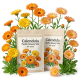 2 Packs Calendula Seeds (100 Seeds), High Germination Pacific Beauty Mix for Planting, Robust Low Maintenance Cut Flowers for Sunlit Yard Borders