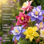 120 Pcs McKana Giant Columbine Seeds for Planting, Non GMO, Aquilegia hybrida Seeds, Perennial, Giant Multi-Color Flower for Shade Gardens and Yard Borders