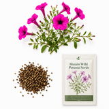 750 Shanin Wild Petunia Seeds, Non GMO, Easy to Grow, Vibrant Lavender Purple Blooms, Charming Low-Growing Purple Accent, Perfect Unique Seed Gift for Gardeners