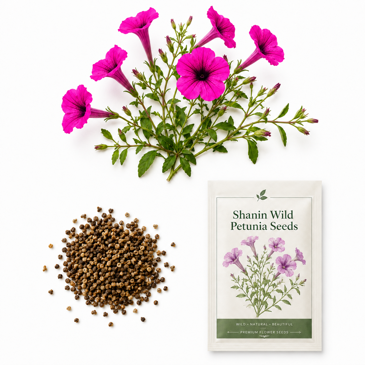 750 Shanin Wild Petunia Seeds, Non GMO, Easy to Grow, Vibrant Lavender Purple Blooms, Charming Low-Growing Purple Accent, Perfect Unique Seed Gift for Gardeners