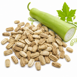 Bottle Gourd Seeds for Planting, 50 Pcs, Heirloom, Long Calabash Doodhi Squash Seeds, Ideal for Home Gardens & Trellis