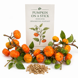 15 Pcs Pumpkin On A Stick Seeds, Heirloom Ornamental Eggplant, Eye-Catching Mini Pumpkin Bush, Perfect for Pots, Containers, and Small Yards