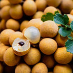 Longan Kohala Live Plant | Sweet Fruit Tree | Large Plant 30-36 Inches Tall | Well Rooted | Easy to Grow | No Ship to CA,HI,AK