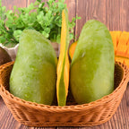 Live Keo Savoy Mango Tree 2.5–3 Ft | Sweet Tropical Mango | Fruit Tree for Yard & Patio | No Ship to CA, HI, AK