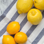 Meyer Lemon Tree Live for Planting | 1–2 Ft Live Citrus Plant | Easy-Grow Fruit Tree for Indoor or Outdoor Houses | No Ship to CA,HI,AK