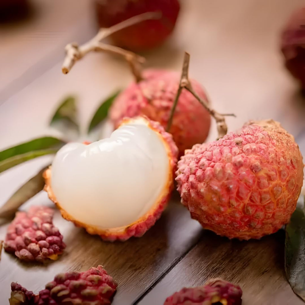 Mauritius Lychee Tree for Planting | 2.5–3 Ft Live Potted Tropical Fruit Tree | Sweet Juicy Lychee Fruit for Home Gardens, Patios & Containers | No Ship to CA,HI,AK