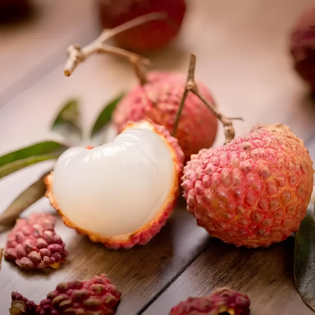 Mauritius Lychee Tree for Planting | 2.5–3 Ft Live Potted Tropical Fruit Tree | Sweet Juicy Lychee Fruit for Home Gardens, Patios & Containers | No Ship to CA,HI,AK