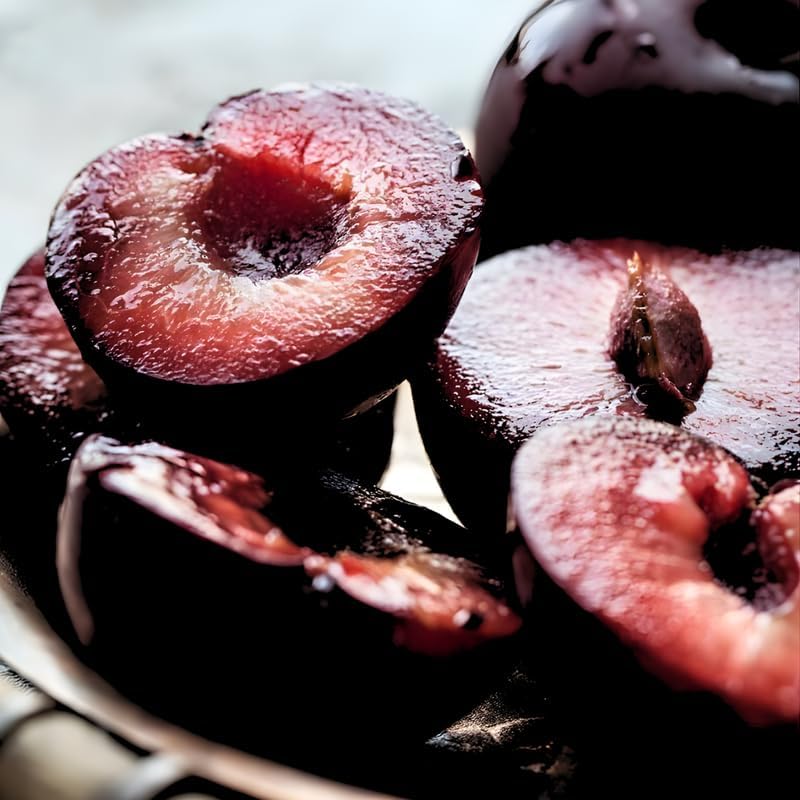 2 Black Cherry Tree Live Plants | Fruit Tree 6–12 Inches Tall | Suitable for Outdoor Garden, Backyard Planting & Landscape Use