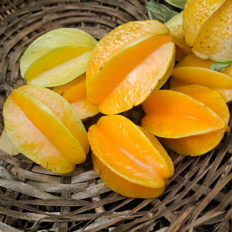 (No Ship to CA,HI,AK) Sweet Starfruit Tree Live Plant in 3 Gallon Pot, Well-Rooted Tropical Tree, Low Maintenance Fruit Plant for Sunny Outdoor Spots