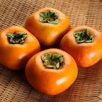 2 American Persimmon Tree for Planting – 12 to 24 Inch Tall Potted Live Fruit Plant | No Ship to CA